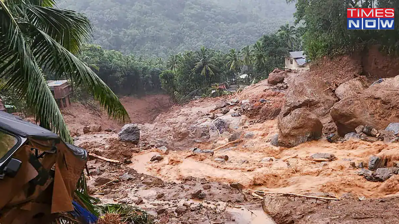 wayanad landslide