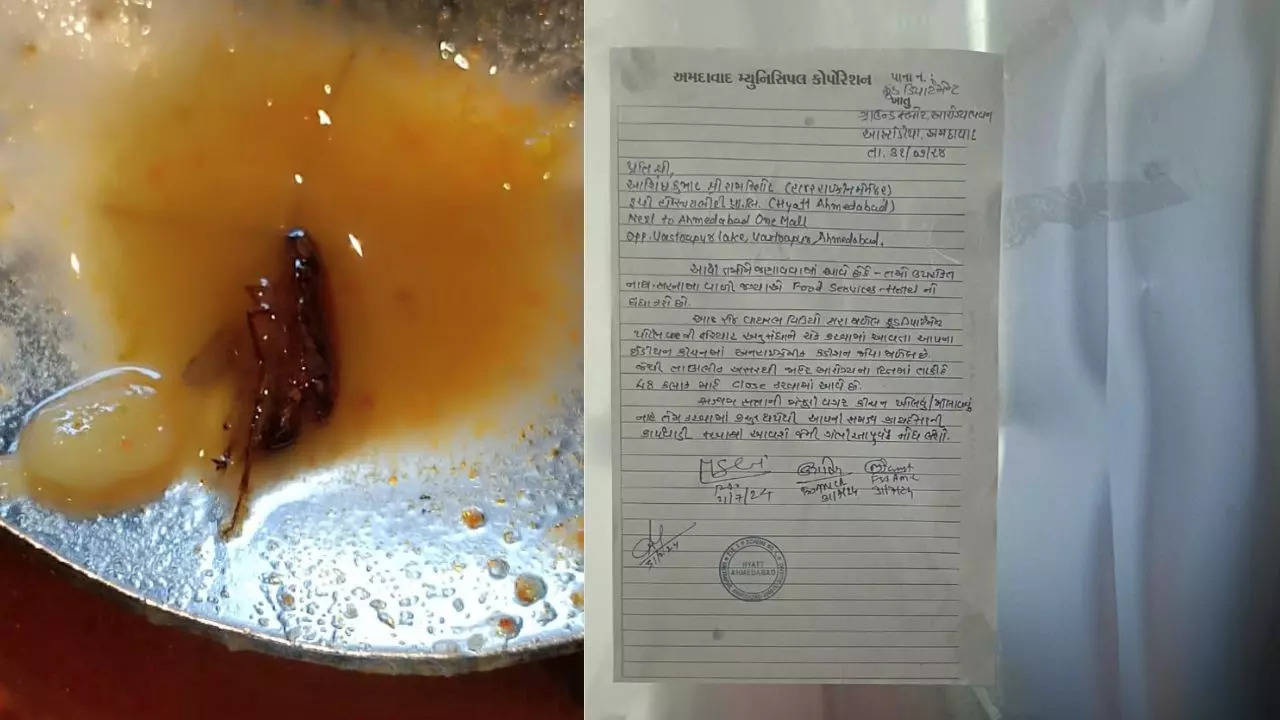 kitchen of ahmedabad 5-star hotel sealed for 48 hours after cockroach found in sambar: video