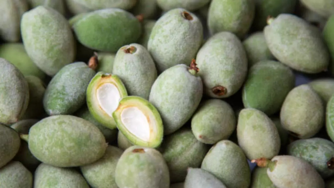 Why Green Almonds Should Be A Part Of Your Diet During Monsoon?