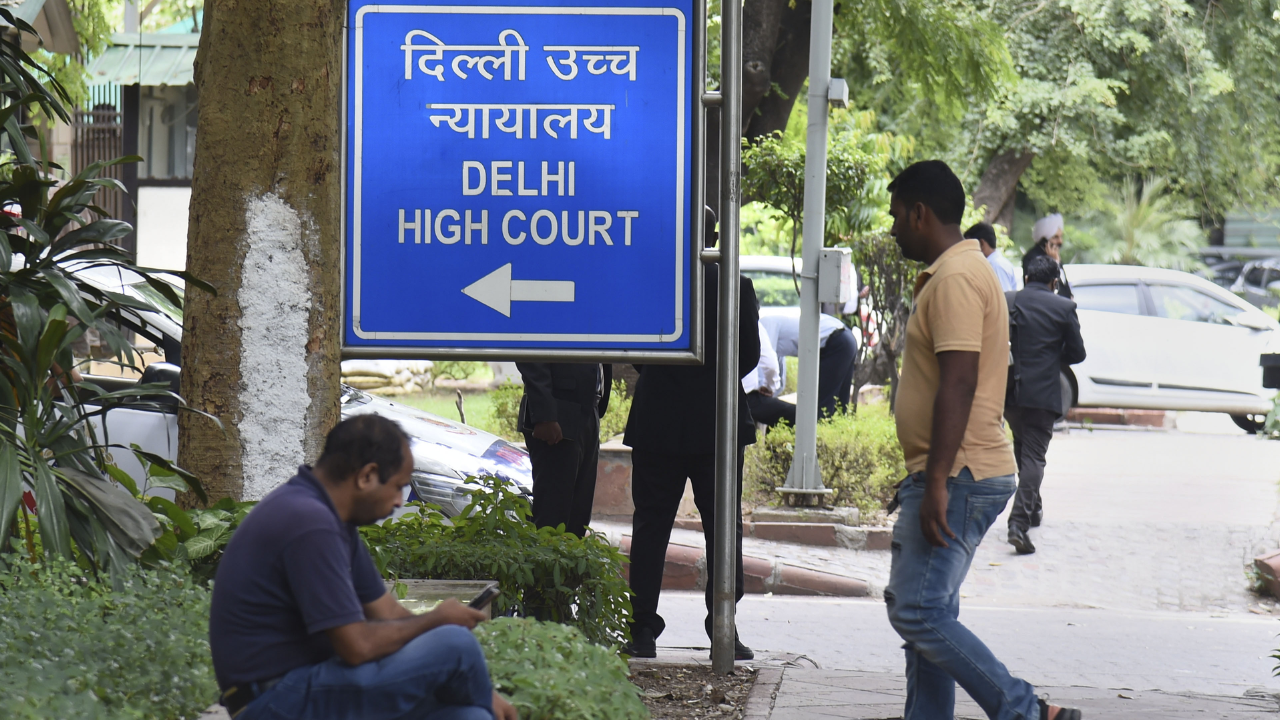 Delhi police's big claim in HC