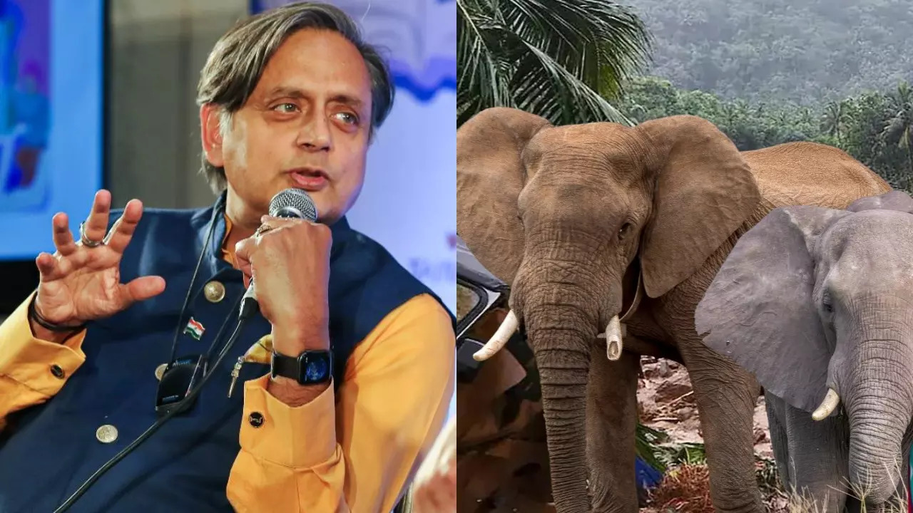 Shashi Tharoor.