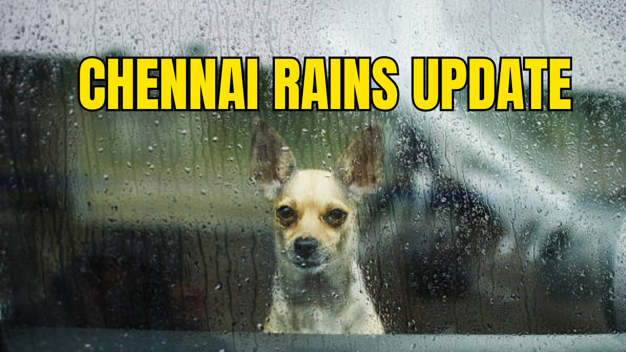 Chennai Rains Update