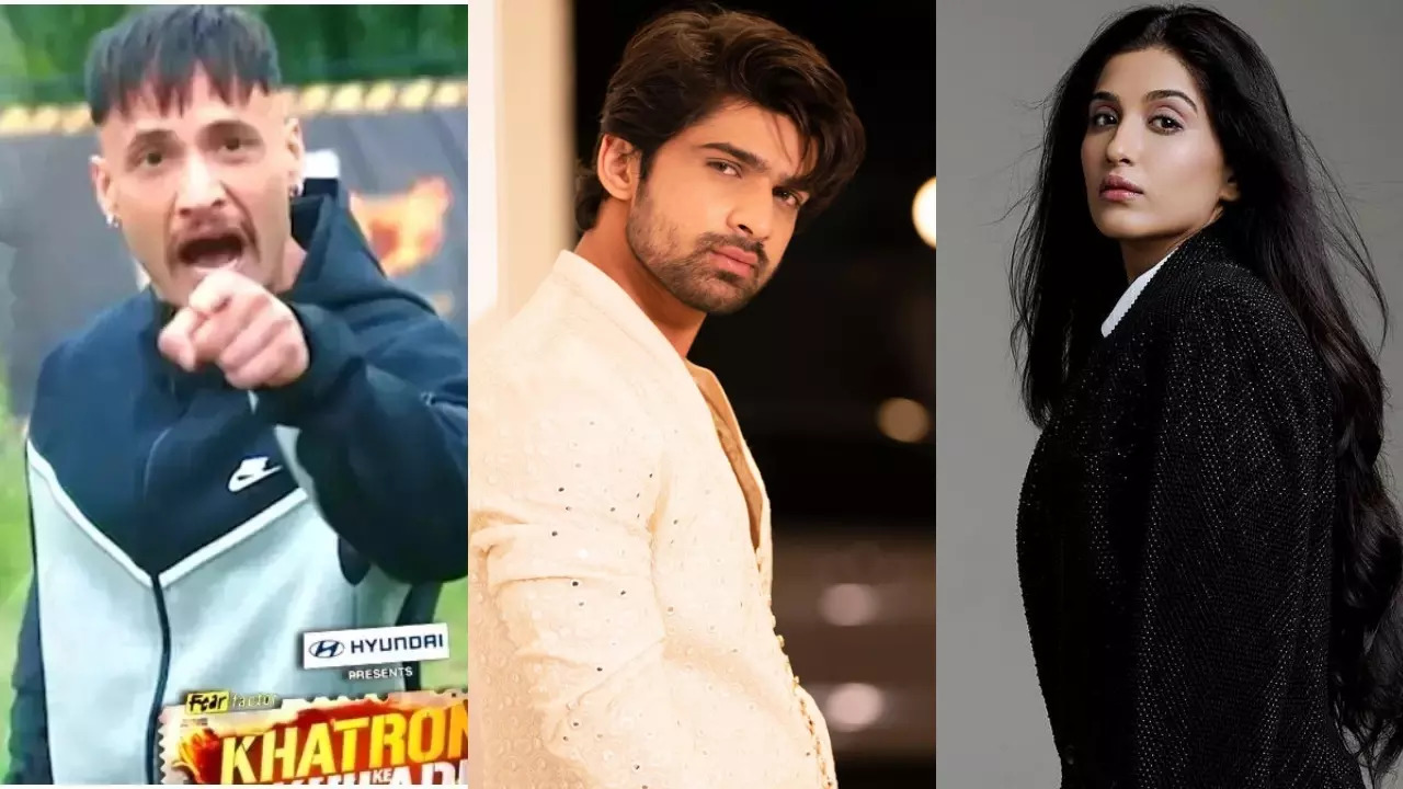 KKK 14: After Asim Riaz, Abhishek Kumar-Nimrit Kaur Ahluwalia Get In A NASTY Argument