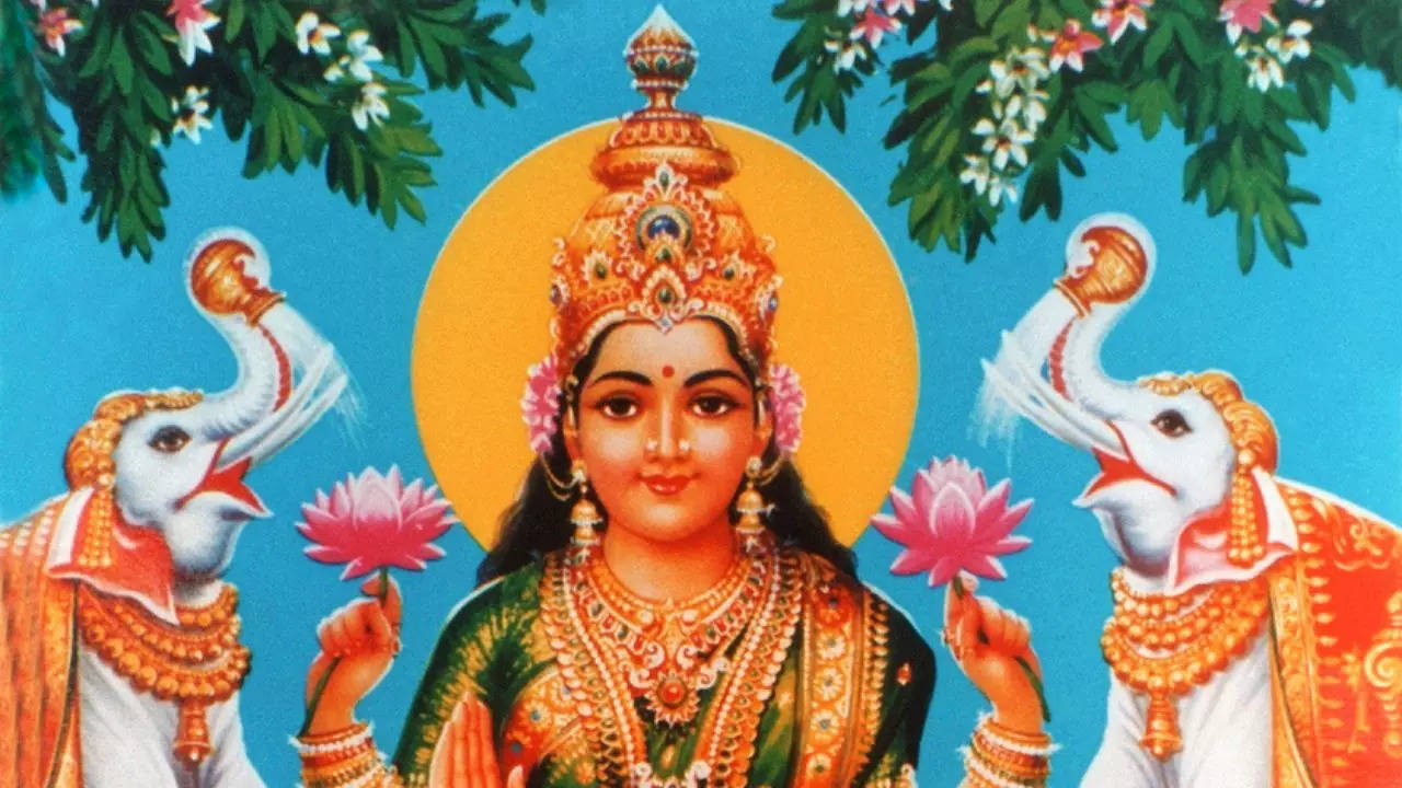 lakshmi (3)