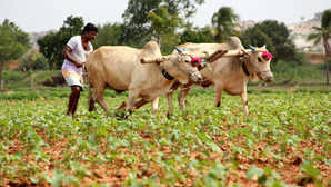 Agriculture Schemes 2024 - 25 ಬಜೆಟ್ ನಲ್ಲಿ ಕೇಂದ್ರ ಸರ್ಕಾರ ಘೋಷಿಸಿದ ಈ ಕೃಷಿ ಯೋಜನೆಗಳ ಬಗ್ಗೆ ನಿಮಗೆಷ್ಟು ಗೊತ್ತು