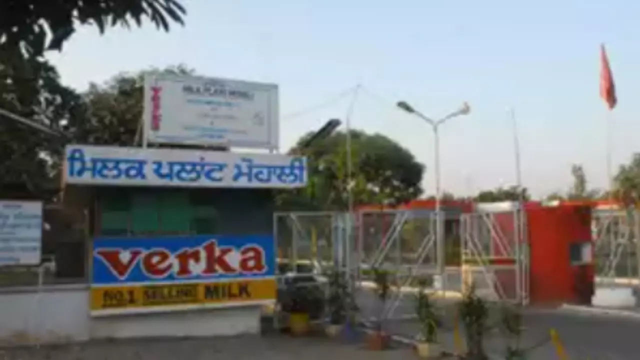 Representative Image: Verka Milk Plant