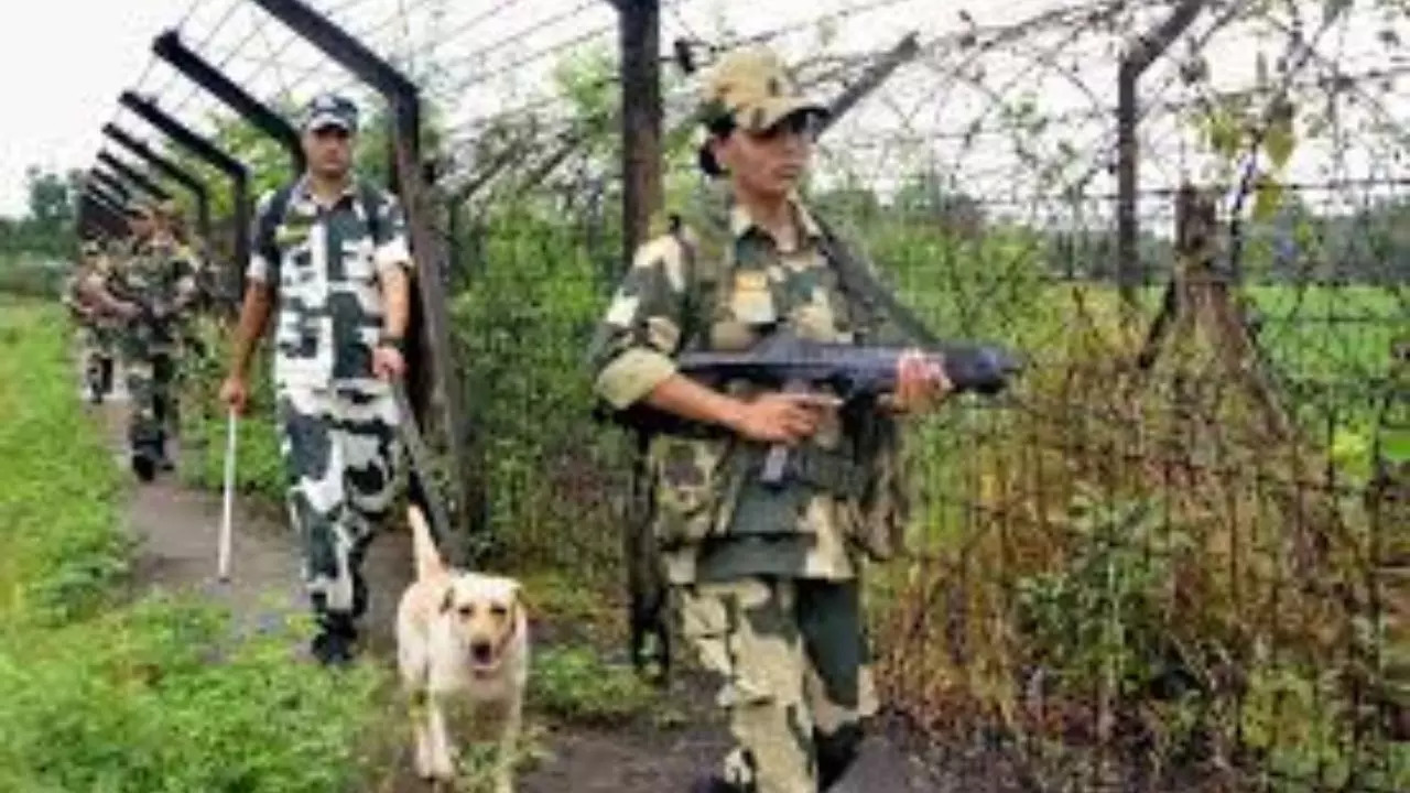 BSF personnel (File image)