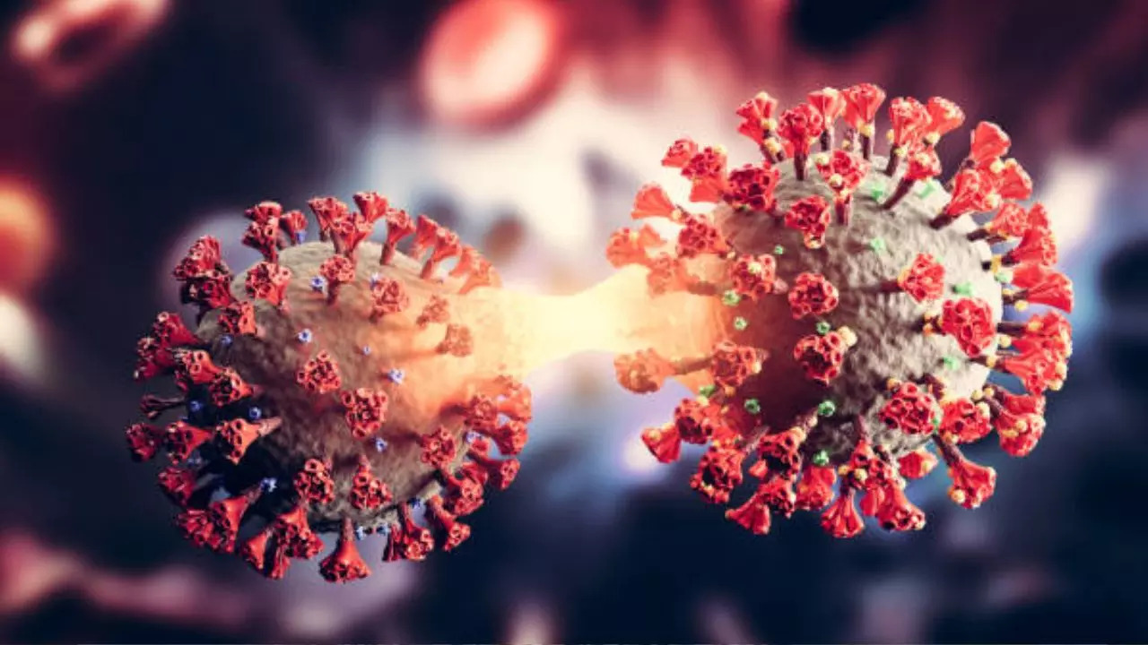 COVID-19 update: Cases of new KP.3.1.1 variant rise in US; know everything COVID-19 update: Cases of new KP.3.1.1 variant rise in US; know everything