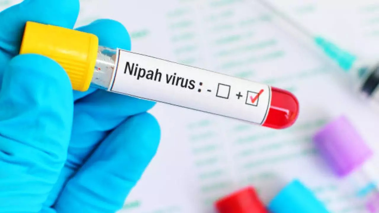 Kerala's Malappuram District Reports Nipah Virus In Bat Samples; Tips To Keep Yourself Safe