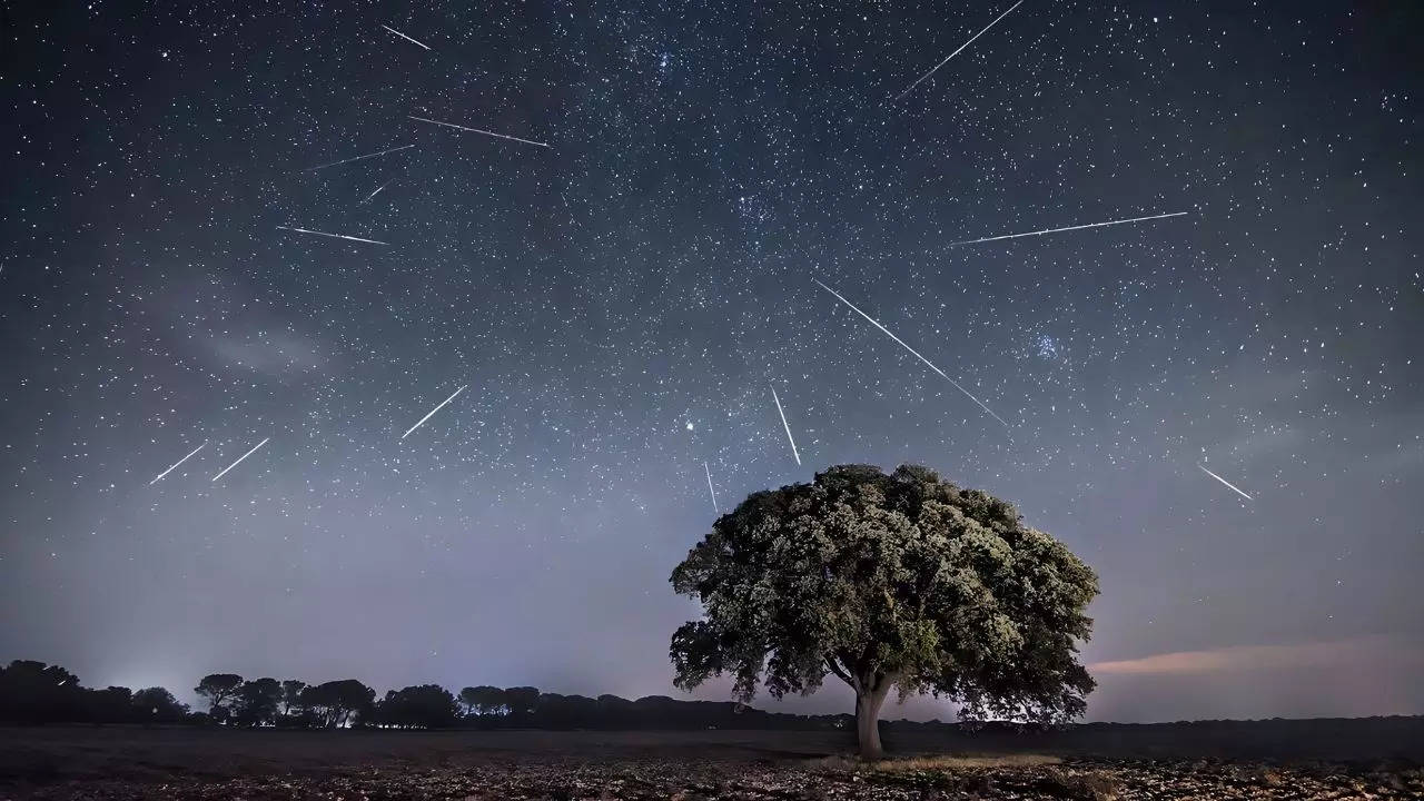 Perseid Meteor Shower