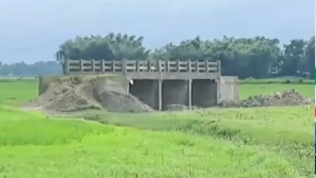 Bridge with no road_Bihar_ Araria district