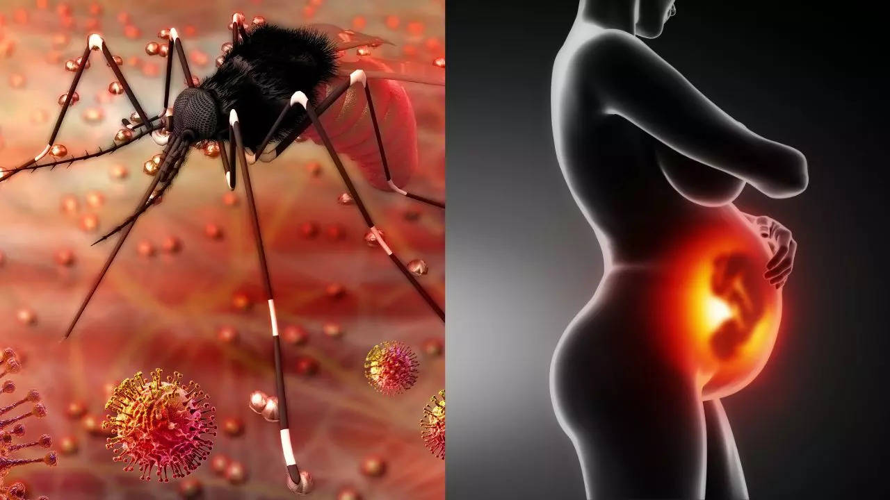 ​Know How Zika Virus Infection Impacts The Foetus