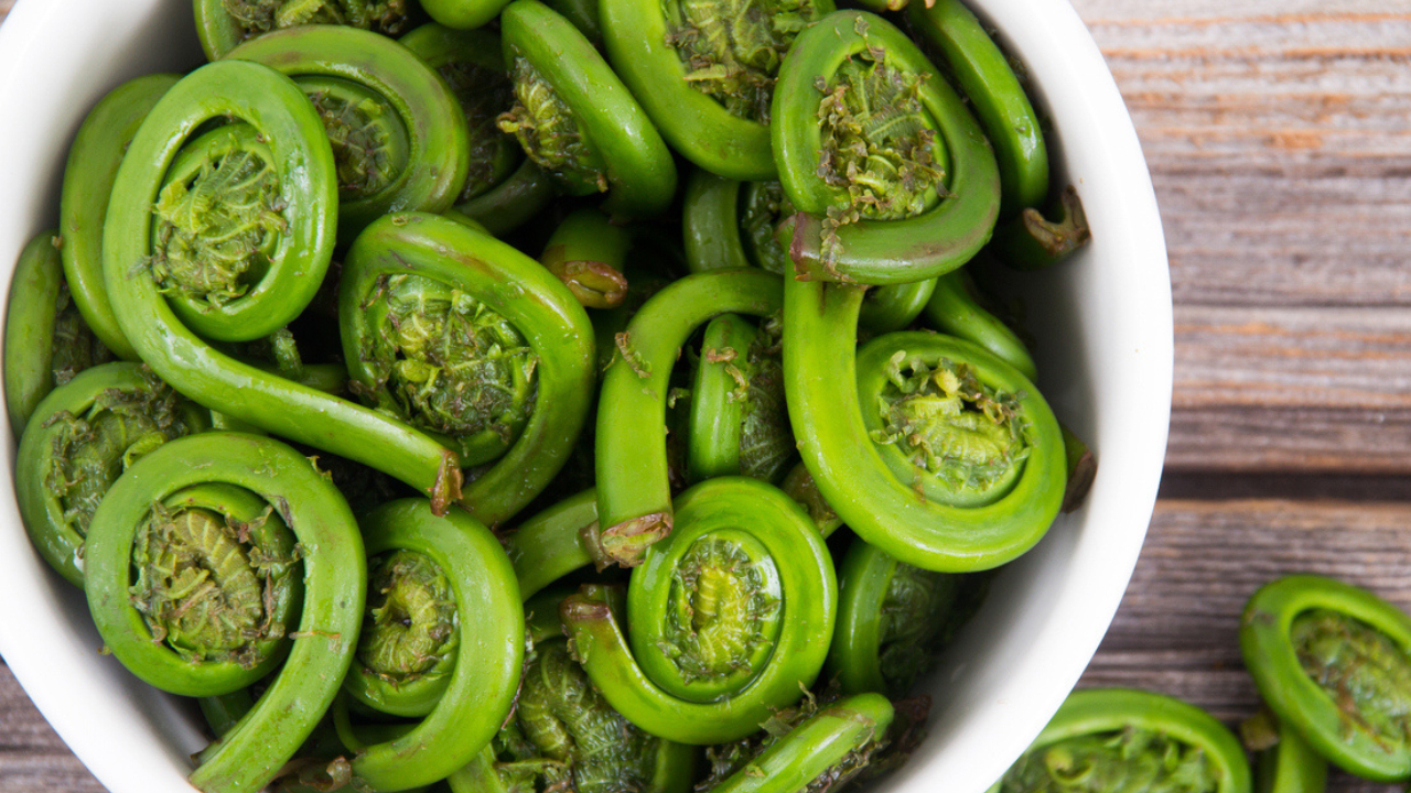 Fiddlehead Ferns: Everything You Must Know Before Foraging These Ferns Sustainably In Uttarakhand