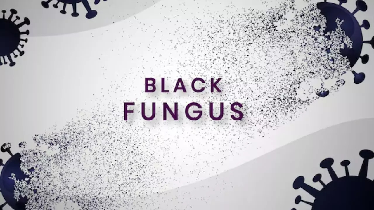 What Is Black Fungus (Mucormycosis)? Symptoms To Watch Out For