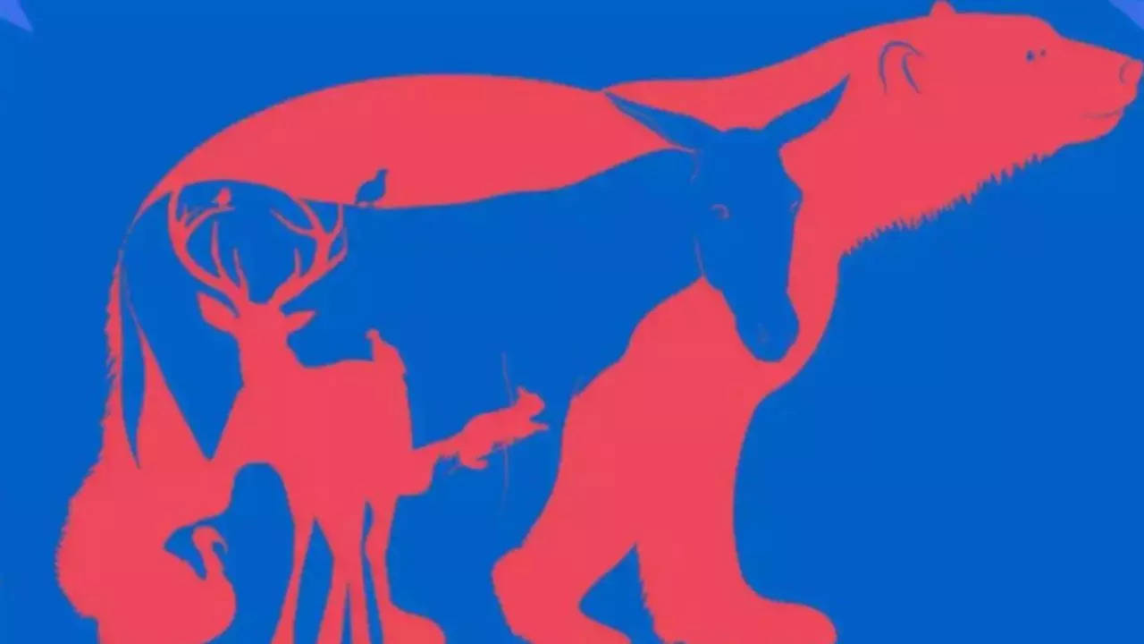 Optical Illusion: Which Animal You See First Describes Your Personality