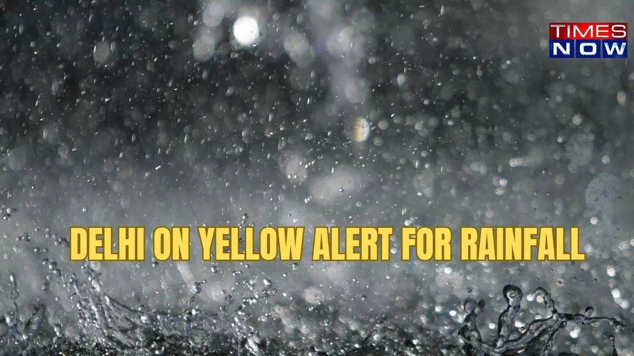 DELHI ON YELLOW ALERT FOR RAINFALL