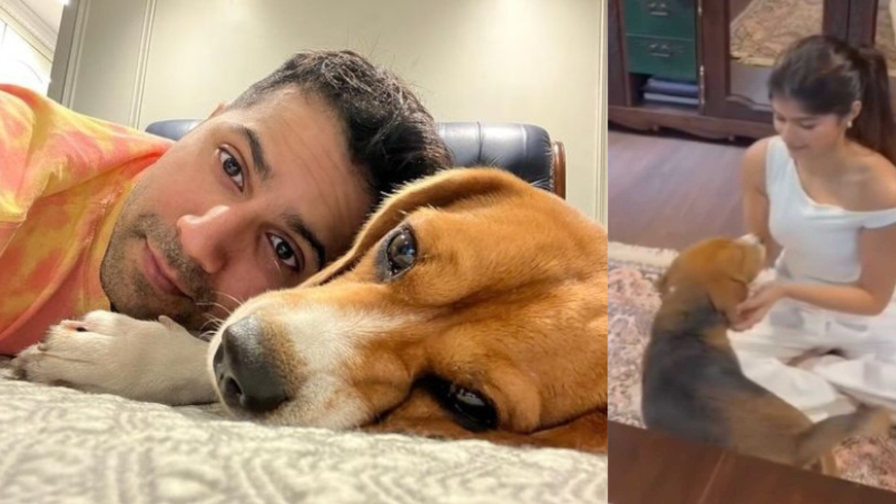 Varun Dhawan's Pet Pooch Joey Adorably Sleeps In Neice Anjini's Lap As She Tries To Pick Him. WATCH Adorable Video