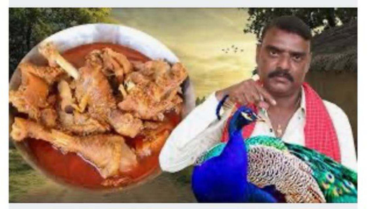 Youtuber Makes Peacock Curry Video