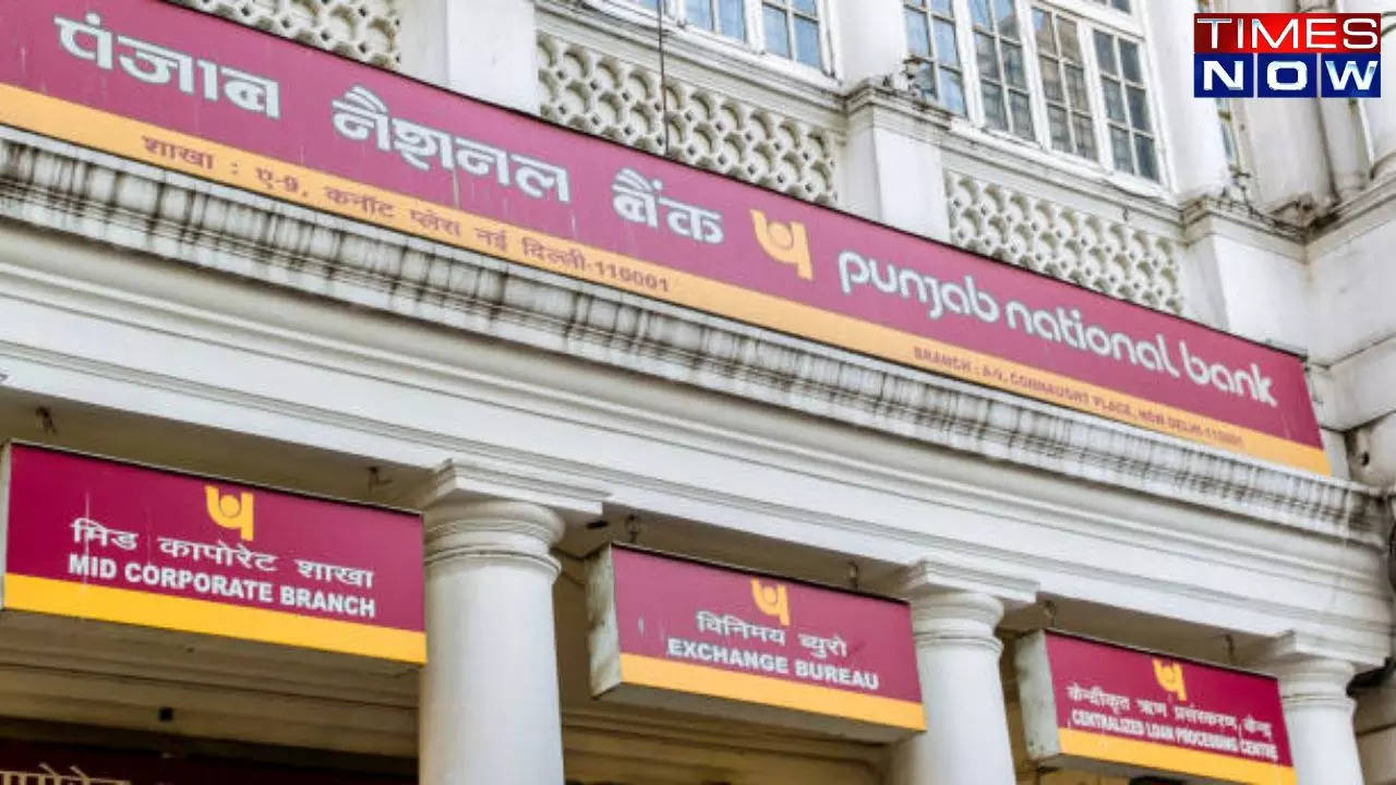 pnb, pnb debit card bill, pnb bill, debit card, credit card, punjab national bank, pnb bill option