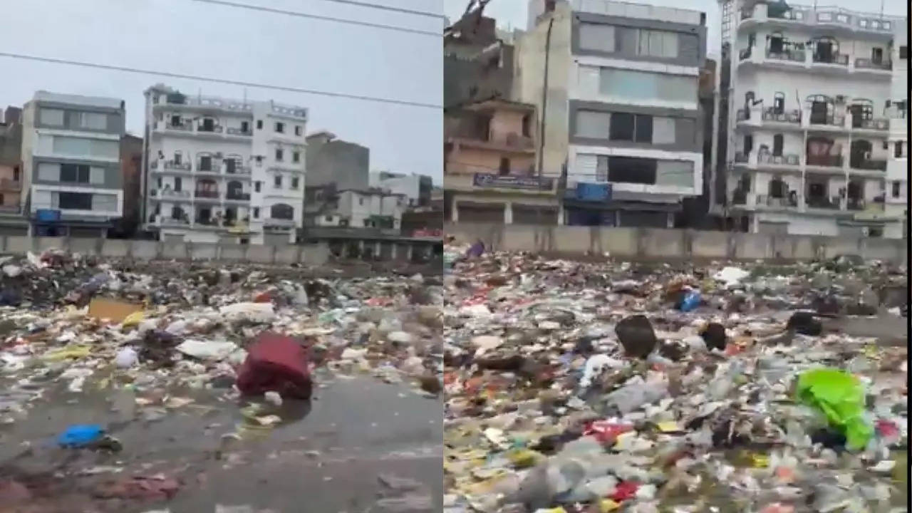 The video shows the road swamped with filth and a few animals can also be seen scavenging through the waste.