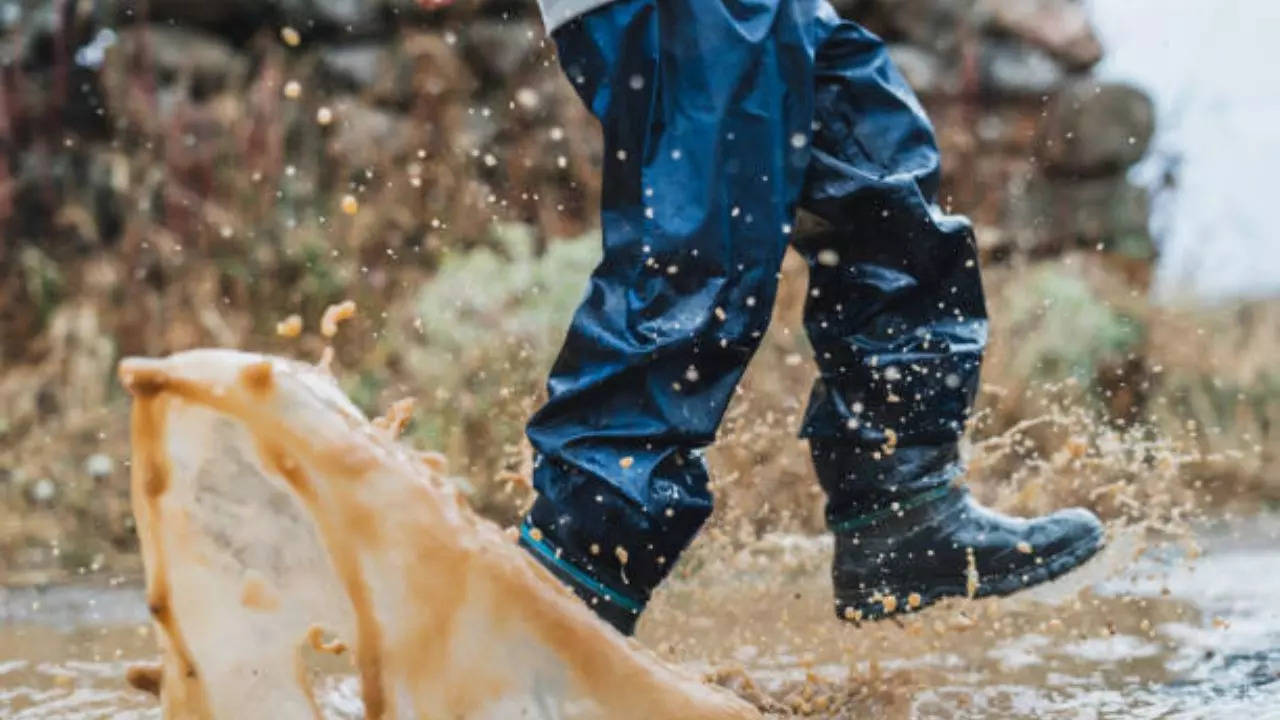 How Stagnated Rain Water Puddles Can Pose Risk To Your Health; Safety Tips Inside