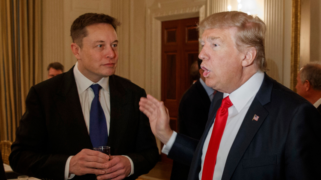 Trump Elon Msuk