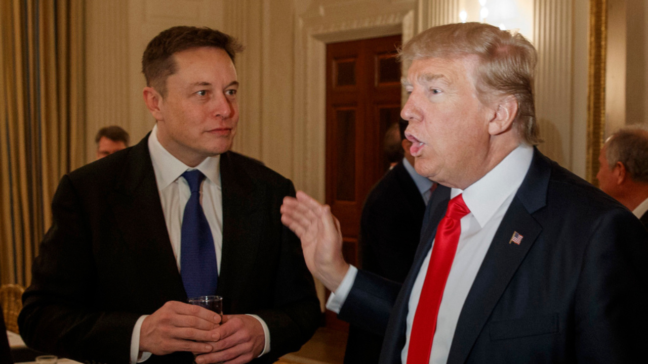 Trump Elon Musk - AP