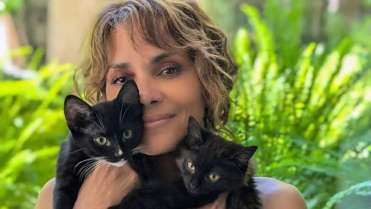 Halle Berry Has Broken 10 Bones During Her Film Career!