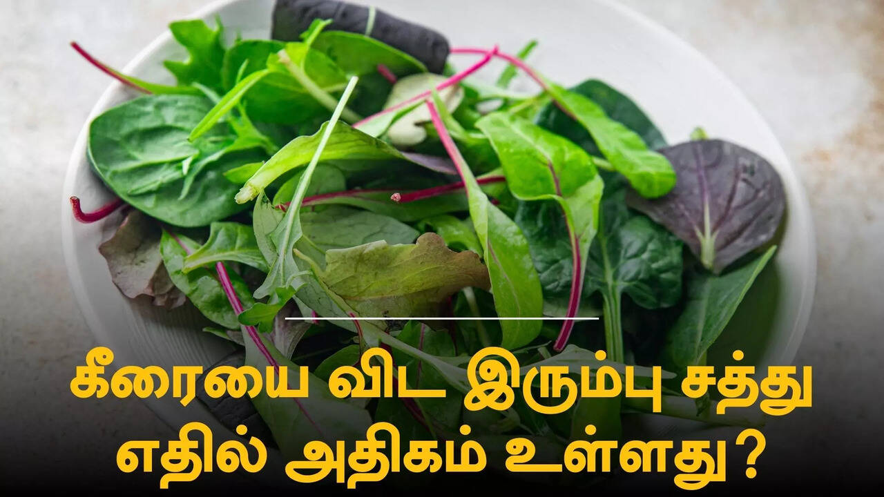 கீரையை விட இரும்புச் சத்து அதிகம் உள்ள 7 சைவ உணவுகள்! | Times Now Tamil