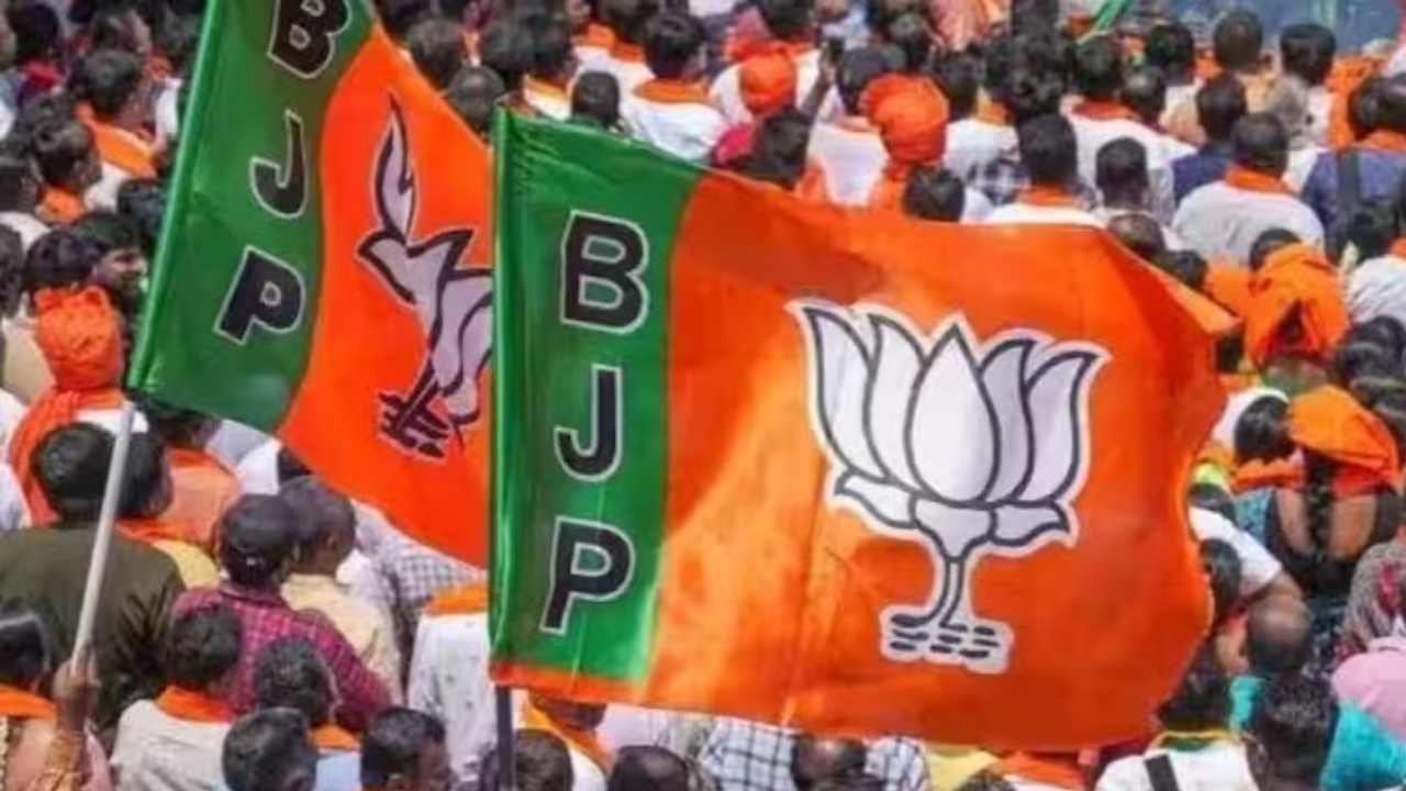 BJP Flag