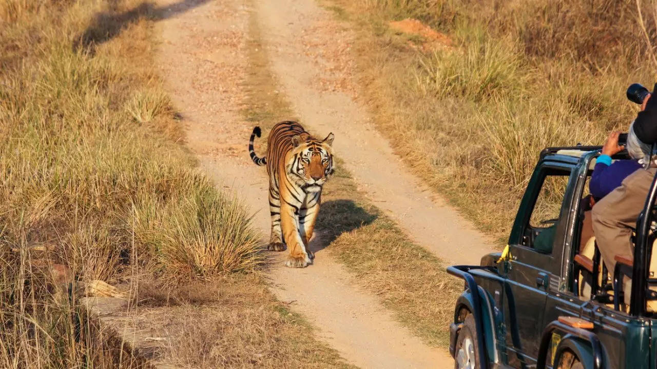 Kanha National Park