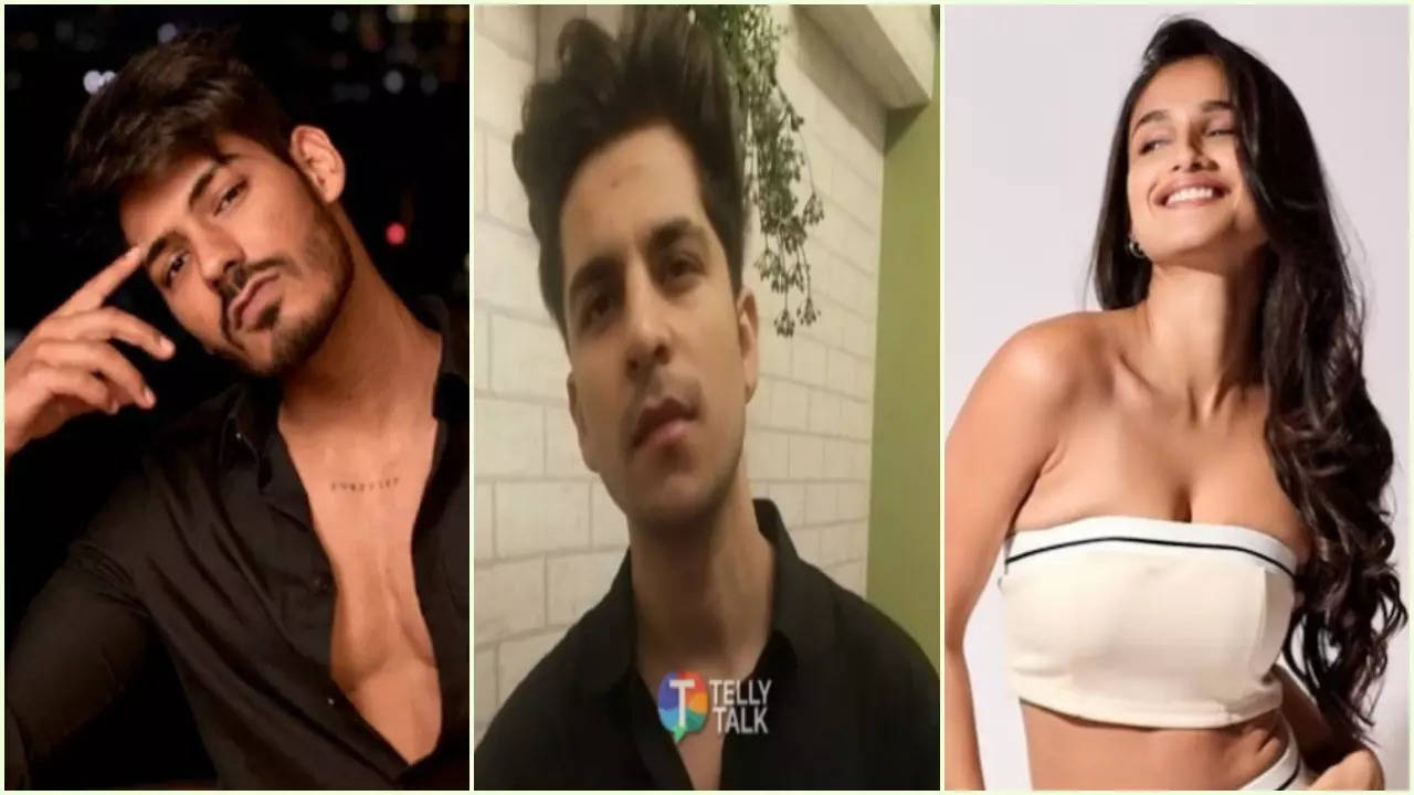 Splitsvilla 15: Lakshay Gaur Calls Digvijay Rathee Fans ‘Vulgar’ For Sending Rape, Death Threats To Kashish Kapoor - Exclusive