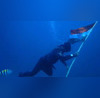 WATCH Chennai Scuba Divers Unique Underwater Act To Mark 78th Independence Day