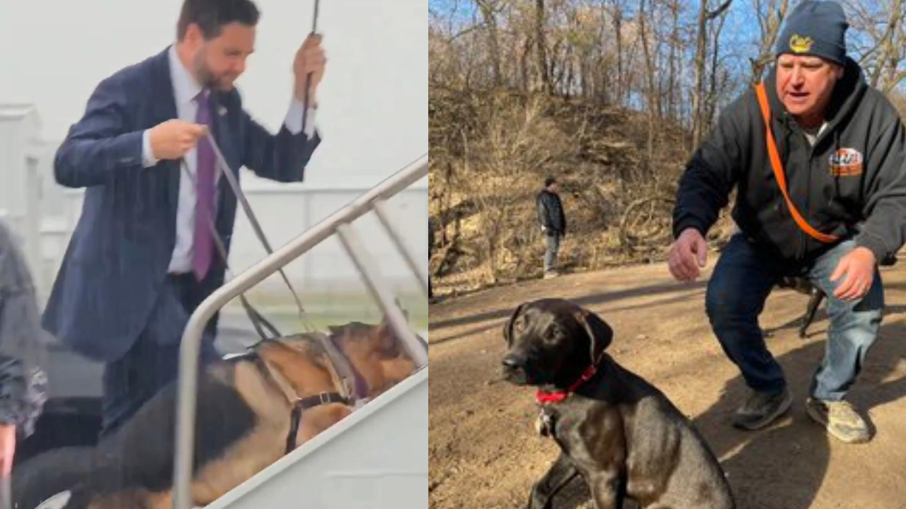 Tim Walz And JD Vance With Their Dogs