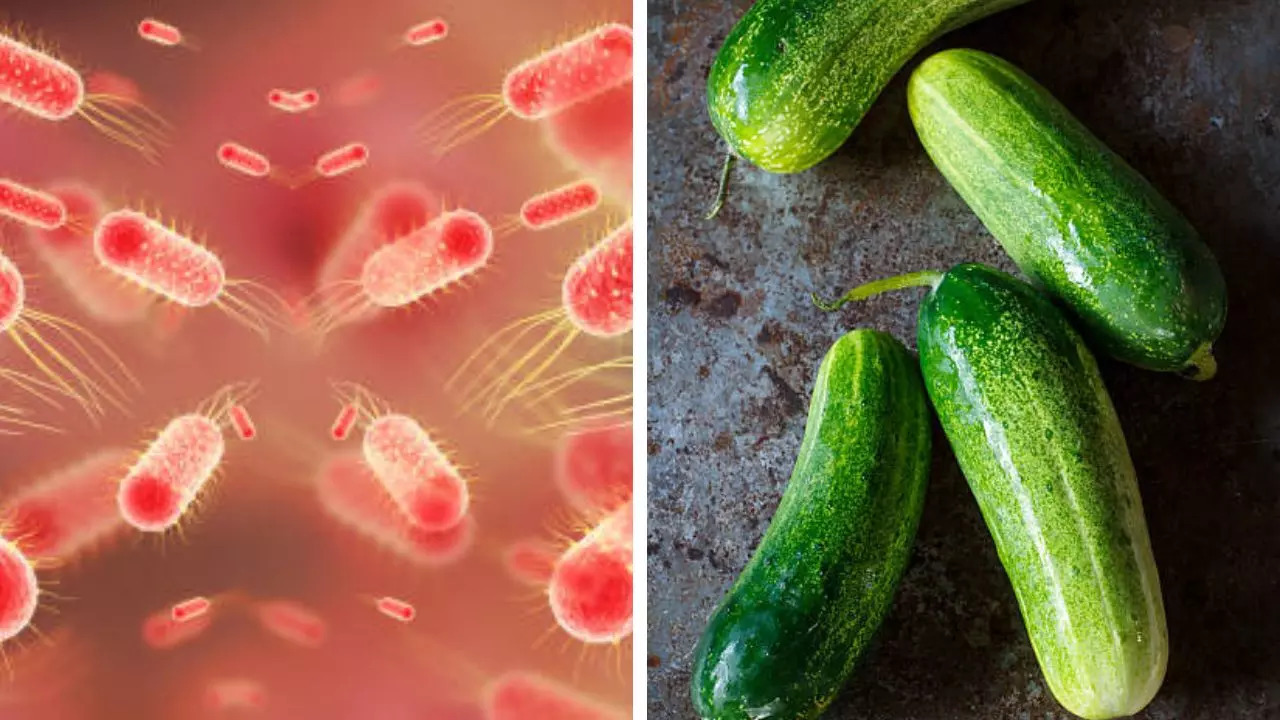 Recalled Cucumbers In Salmonella Outbreak Behind Illnesses In 31 US States