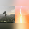 Not Edited Lightning Strikes Palm Tree Video Leaves Viewers In Shock