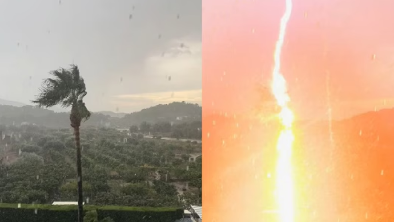 Not edited! Lightning strikes palm tree, video leaves viewers in shock