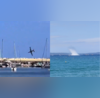 Caught On Camera Plane Crashes Into Sea During French Airshow Pilot Killed