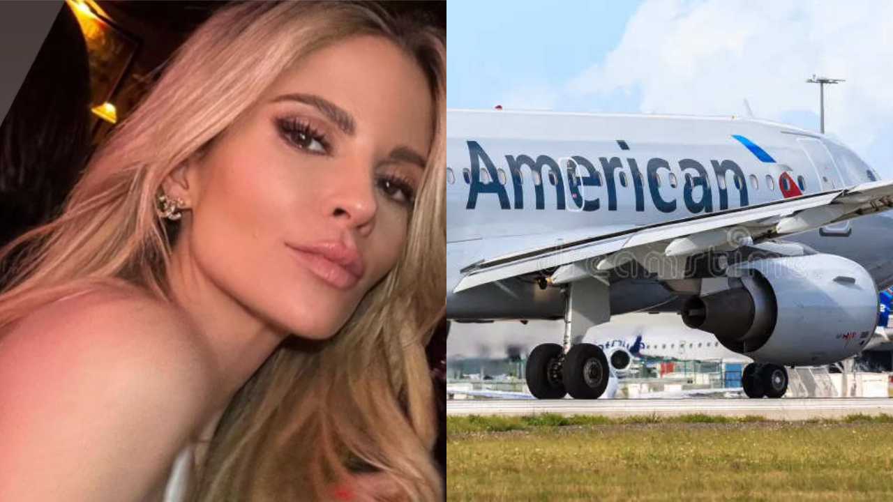 US Model Sues American Airlines After Swallowing 'Broken Plastic' In Beverage Served On Flight