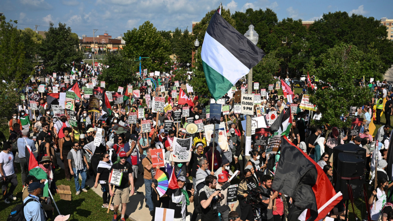 DNC Protests