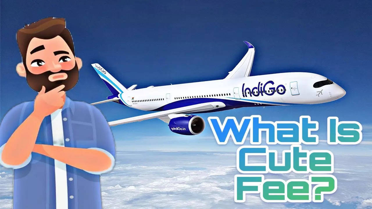 What Is Cute Fee? IndiGo's Ticket Fare Component Leaves Flyer Perplexed