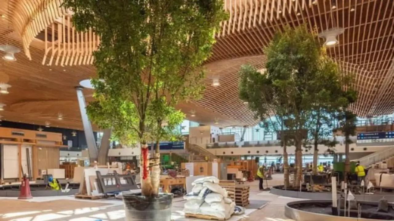 This airport is home to a jungle and cute therapy animals, learn more