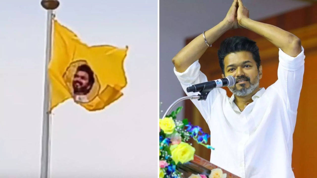 தவெக தலைவர் விஜய்