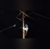 Fed Up Of Long Power Cut Telangana Man Climbs Electricity Pole - VIDEO