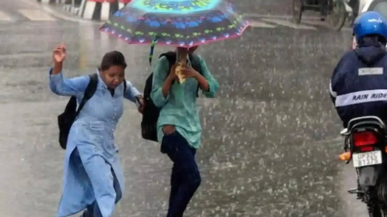 imd issued rain yellow alert in this districts of maharashtra