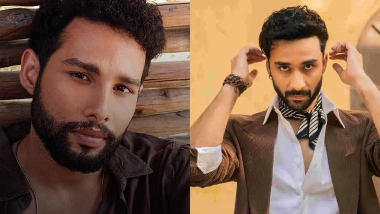 Siddhant Chaturvedi's Yudhra Release Date Locked, Raghav Juyal To Return As Antagonist After Kill - Report