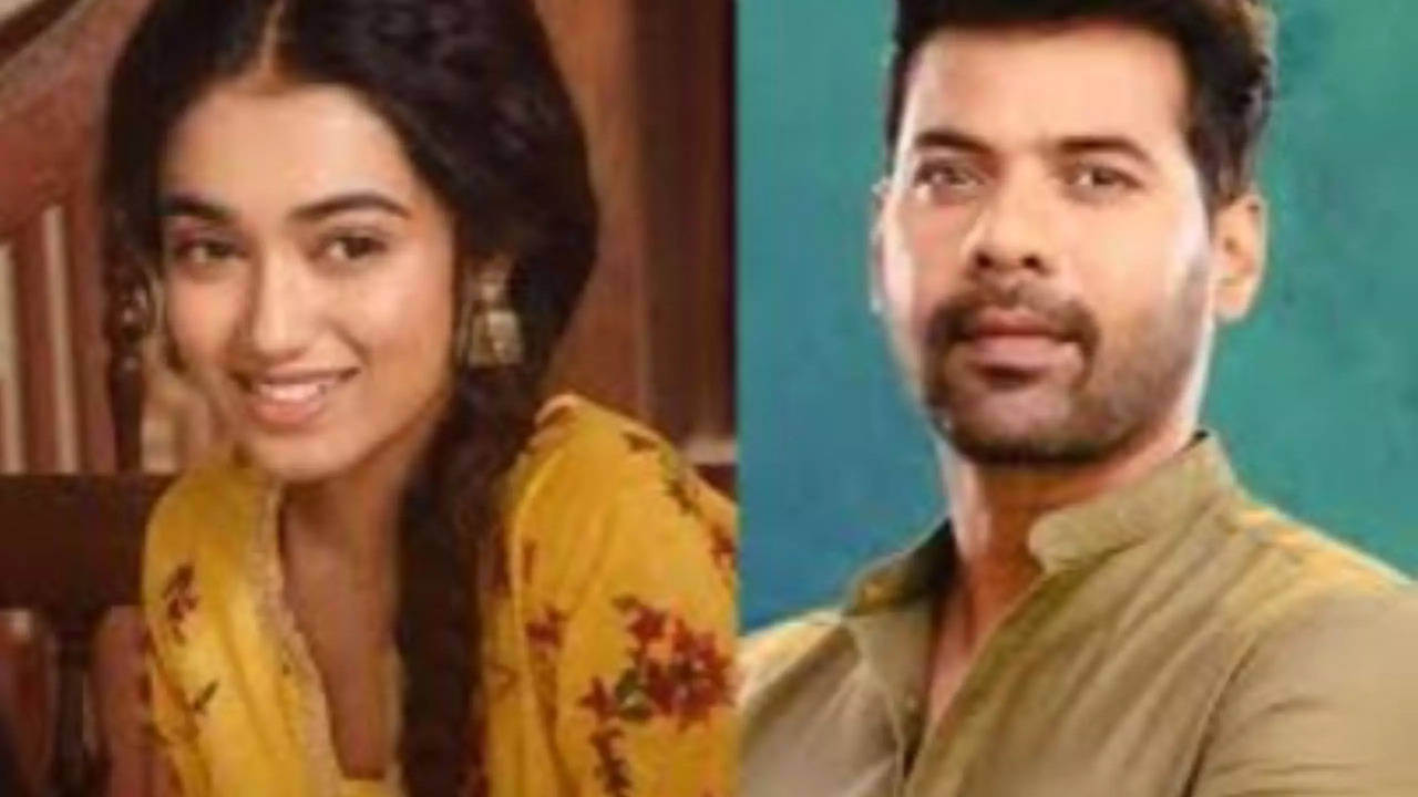 Shabir Ahluwalia, Niharika Roy's Pyaar Ka Pehla Naam Radha Mohan To Go Off-Air On THIS Date - Exclusive