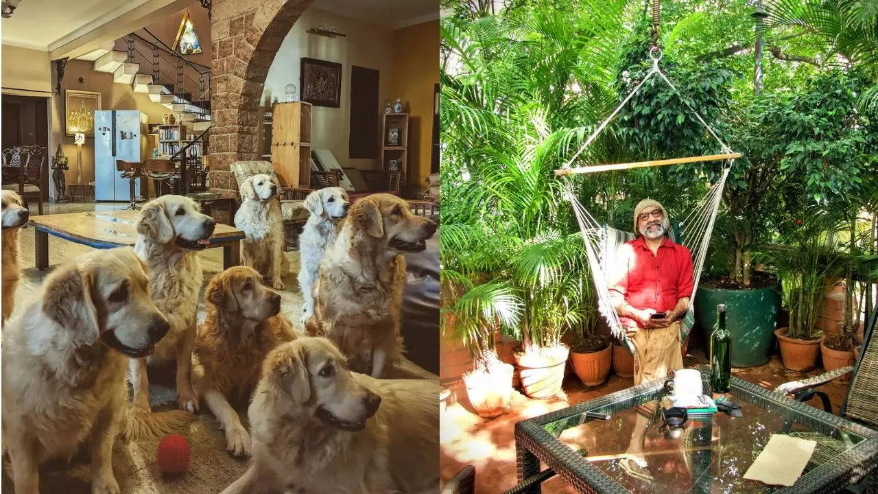 International Dog Day: This Earthy AirBnB In Bengaluru Has 6 Pawsome Hosts