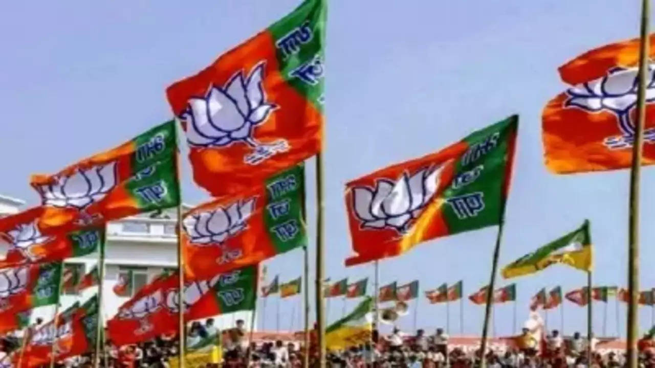 j&k assembly elections: bjp releases first list of candidates