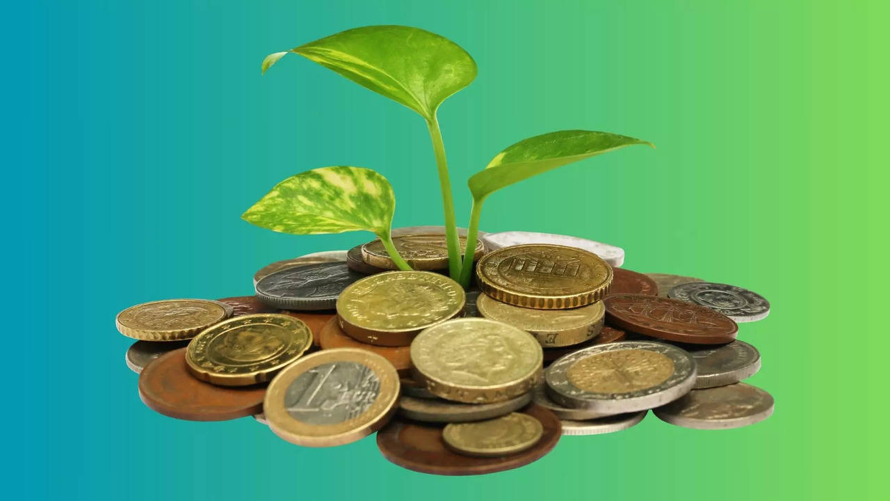 vastu tips what are the pros and cons of planting a stolen money plant